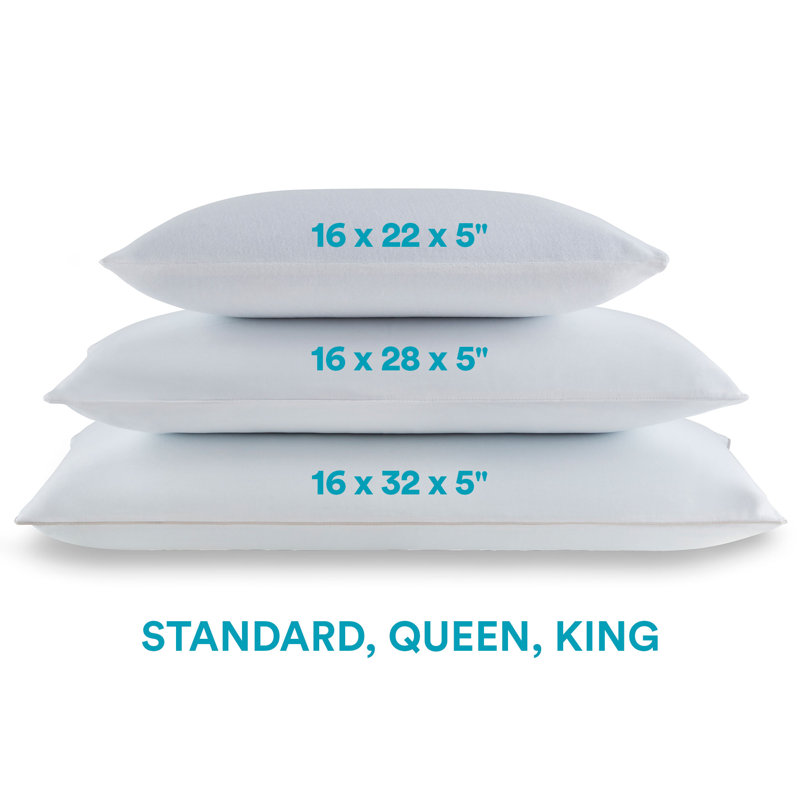 Sleep Innovations Classic Memory Foam Pillow, King Size, Breathable Knit Cover & Reviews Wayfair